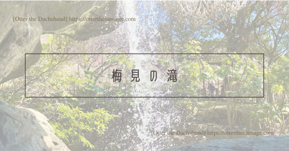 Blog Header image_犬と旅行_犬連れ旅行_熱海梅園_Atami plum garden_梅見の滝